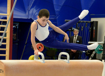 Bakıda kişi idman gimnastikası üzrə çoxnövçülükdə yarışlar başlayıb. Azərbaycan, 5 dekabr 2015